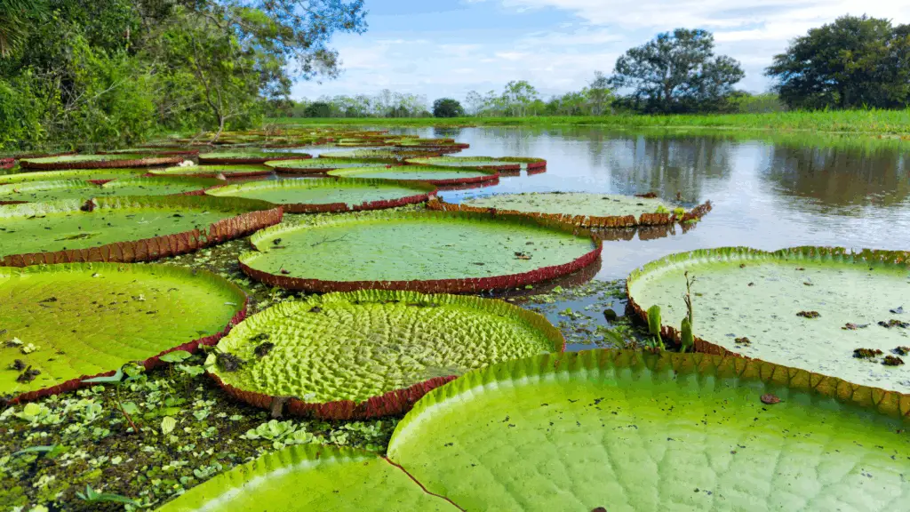 Serviço de Meio Ambiente realizado pela Fonntes Geotécnica